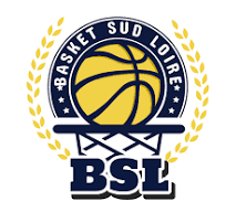 Basket Sud Loire recherche entraineur/coach DF3